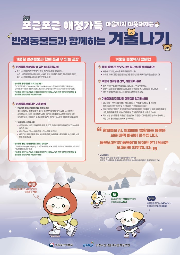 겨울철 반려동물 건강 지키기: 필수 ...