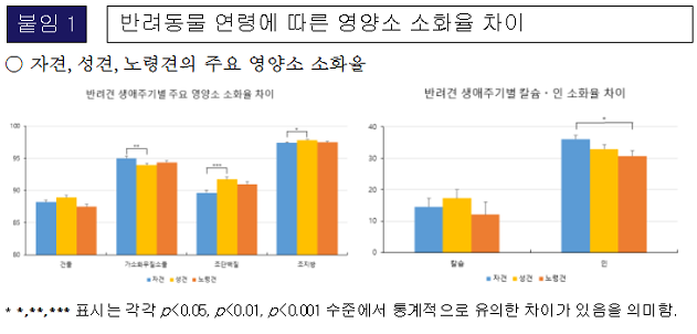 반려견의 나이에 따른 소화력 차이 밝...
