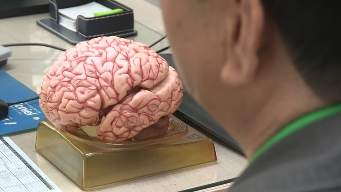 MRI 시대의 종말? 혈액검사로 뇌 ...