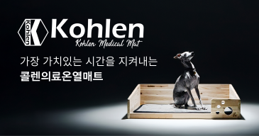 콜렌